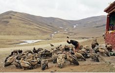 Кислород. Эверест - 2