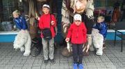 Исландия -2. Продолжение