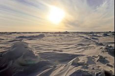 Ледовая пустыня. 10 километров до Северного Полюса
